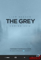 the-grey00.jpg