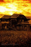 house-of-horror01.jpg