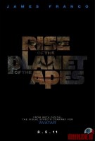 rise-of-the-apes02.jpg