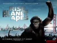 rise-of-the-apes26.jpg
