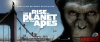 rise-of-the-apes27.jpg