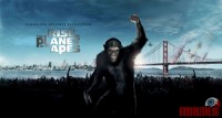 rise-of-the-apes52.jpg