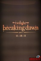 the-twilight-saga-breaking-dawn03.jpg