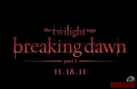 the-twilight-saga-breaking-dawn05.jpg
