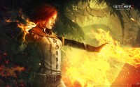 the-witcher-2-assassins-of-kings05.jpg