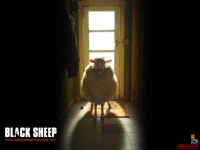 black-sheep00.jpg