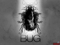 bug02.jpg