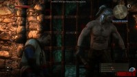 the-witcher-2-assassins-of-kings36.jpg