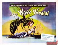 the-wasp-woman03.jpg