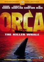 orca-the-killer-whale04.jpg