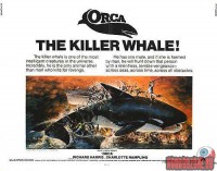orca-the-killer-whale09.jpg
