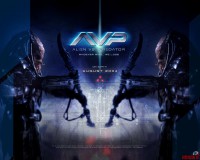 avp-alien-vs.-predator01_.jpg