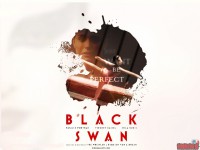 black-swan03.jpg