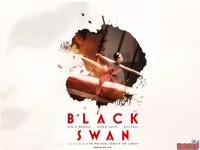 black-swan04.jpg