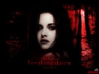 the-twilight-saga-breaking-dawn11.jpg