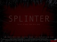 splinter01.jpg