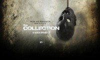 the-collection06.jpg