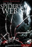 in-the-spiders-web00.jpg