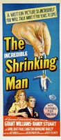 the-incredible-shrinking-man07.jpg