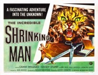 the-incredible-shrinking-man12.jpg