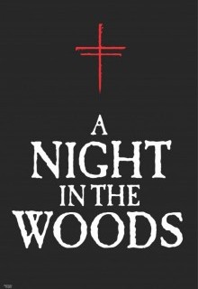 Ночь в лесах