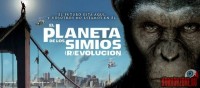 rise-of-the-apes22.jpg