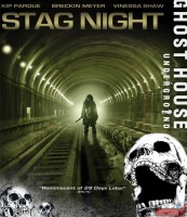 stag-night02.jpg