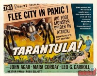 tarantula14.jpg