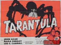 tarantula17.jpg
