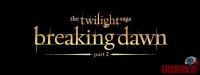 the-twilight-saga-breaking-dawn01.jpg