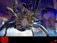 eight-legged-freaks02.jpg