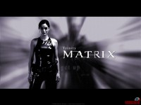 the-matrix08.jpg