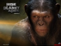 rise-of-the-apes08.jpg
