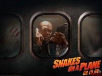 snakes-on-a-plane01.jpg