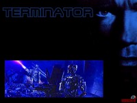 the-terminator07.jpg