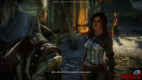the-witcher-2-assassins-of-kings23.jpg