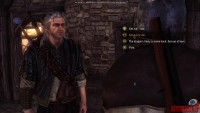 the-witcher-2-assassins-of-kings31.jpg