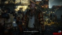 the-witcher-2-assassins-of-kings39.jpg