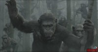 dawn-of-the-planet-of-the-apes06.jpg