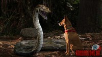mega-python-vs.-gatoroid01_.jpg