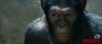 rise-of-the-apes14.jpg