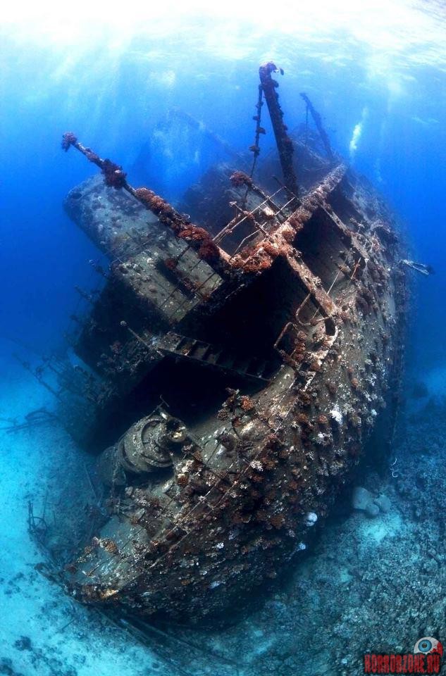Фото затонувшего корабля