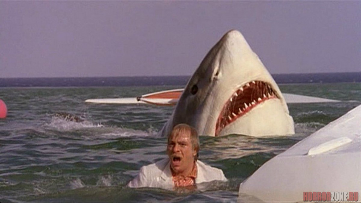 Акула из фильма последняя акула 1981