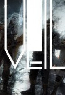 Veil