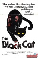 black_cat2.jpg