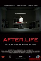 Постер фильма После.Жизнь