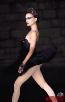 black-swan03.jpg
