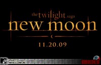 new-moon15.jpg