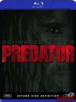 predator04.jpg