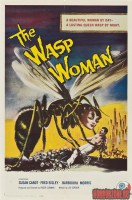 the-wasp-woman01.jpg